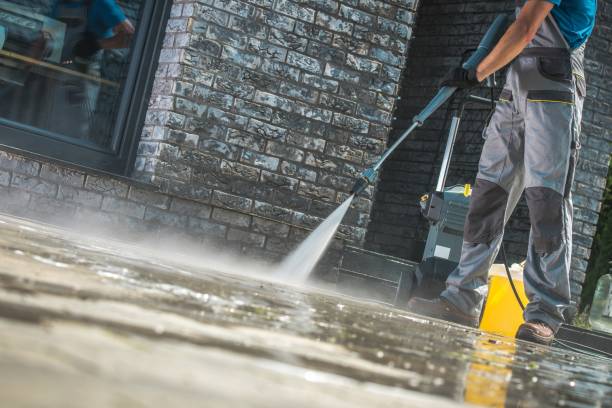 Animal Enclosure Cleaning in Granite Falls, MN